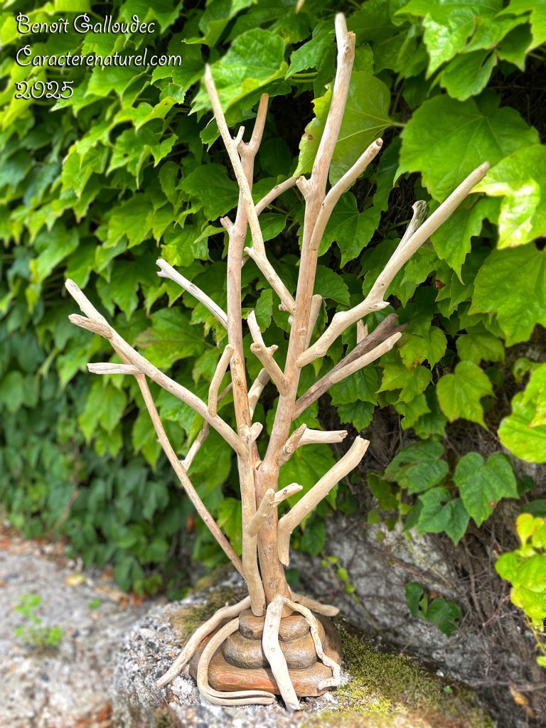 Arbre à bijoux en bois flotté
