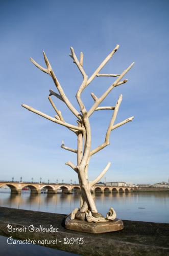 IMGP0941